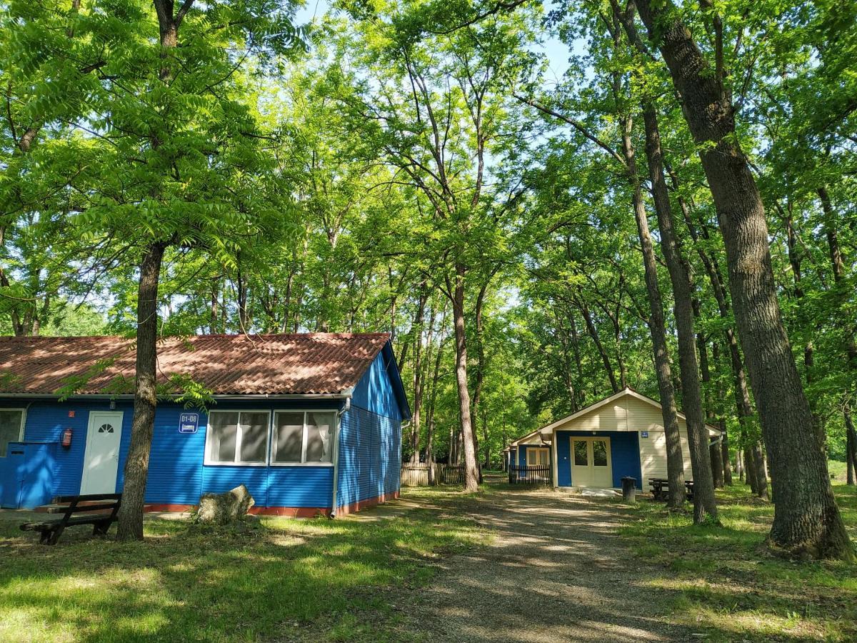 Dorcas Center&Camping Hotel Debrecen Bagian luar foto